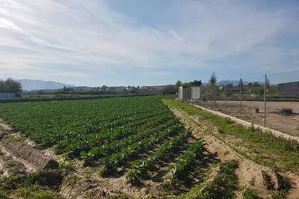 Pozemky v Molina de Segura, Murcia. 