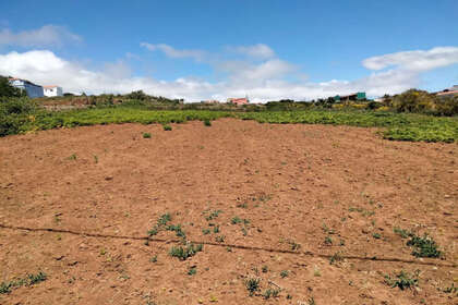 Plot in San Cristóbal de la Laguna, Santa Cruz de Tenerife, Tenerife. 