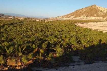 Percelen/boerderijen in Fortuna, Murcia. 