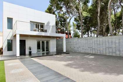 Plano em Monforte del Cid, Alicante. 