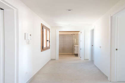 Flats in Ibiza / Eivissa, Baleares (Illes Balears), Ibiza. 