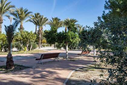 Percelen/boerderijen verkoop in Vera, Almería. 