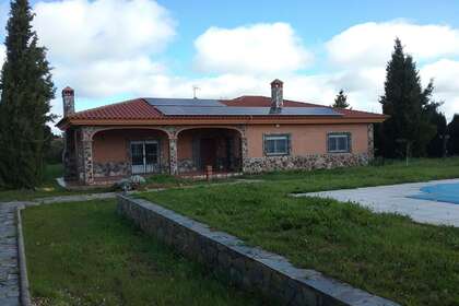 fasáda