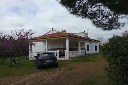 fasáda