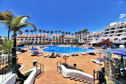 Studio's verkoop in Playa de Las Americas, Arona, Santa Cruz de Tenerife, Tenerife. 