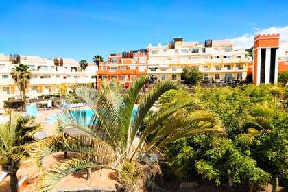 Apartmány na prodej v Los Cristianos, Arona, Santa Cruz de Tenerife, Tenerife. 