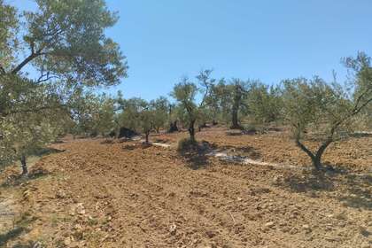 Pozemky na prodej v Paraje Las Gavias, Almonte, Huelva. 