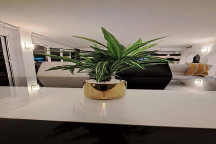 照片