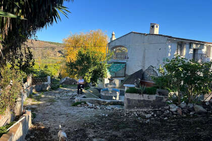 fotka