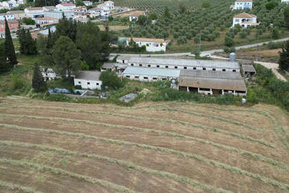 fotka