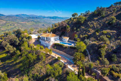 fotka