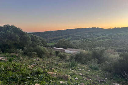 fotka