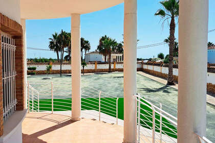 fotka