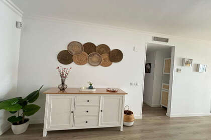 照片
