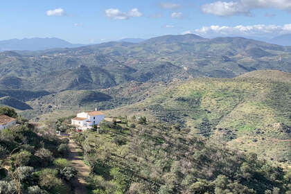 Rancho venda em Almogía, Málaga. 