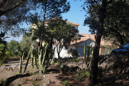 Ranch for sale in Monda, Málaga. 