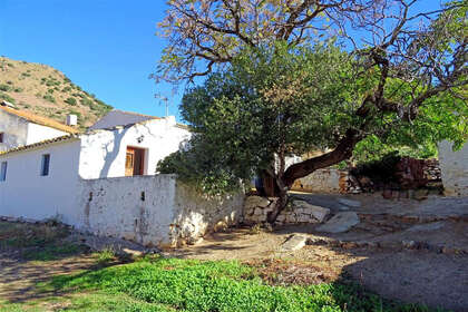 Ranch for sale in Almogía, Málaga. 