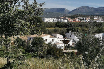 Farmy na prodej v Alcaucín, Málaga. 