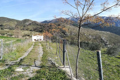 Farmy na prodej v Alcaucín, Málaga. 