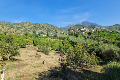 Pozemky na prodej v Tolox, Málaga. 