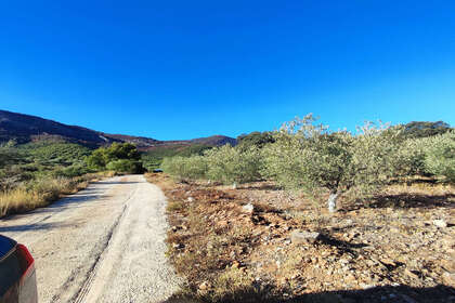 Terreno vendita in Alhaurín el Grande, Málaga. 