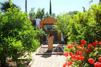 Ranch for sale in Gaucín, Málaga. 