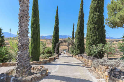 Cluster house for sale in Casarabonela, Málaga. 