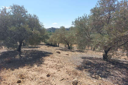 Pozemky na prodej v Alora, Málaga. 