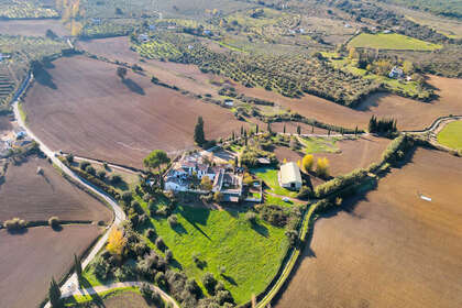 Ranch vendita in Ronda, Málaga. 