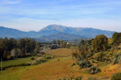 Terreno vendita in Coín, Málaga. 