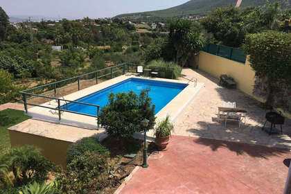 Finca venta en Alhaurín el Grande, Málaga. 