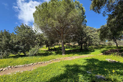 Terreno vendita in Casares, Málaga. 