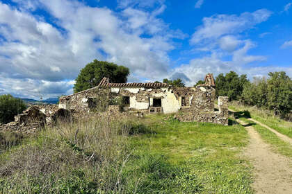 Percelen/boerderijen verkoop in La Cala, Rincón de la Victoria, Málaga. 