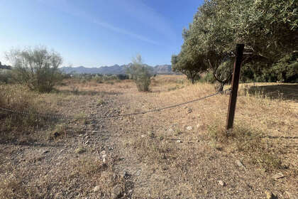 Plot for sale in Alhaurín de la Torre, Málaga. 