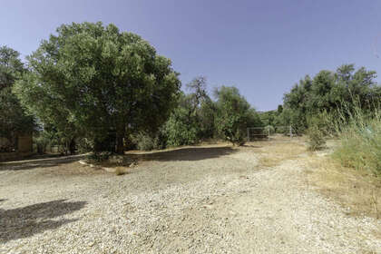 Plot for sale in Churriana, Málaga. 