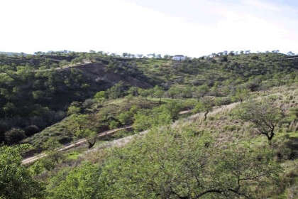 Percelen/boerderijen verkoop in Monda, Málaga. 