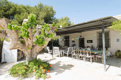 Fincaer til salg i Dolores, Alicante. 