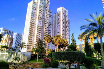 Апартаменты Продажа в Benidorm, Alicante. 