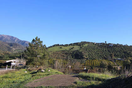 Percelen/boerderijen verkoop in Tolox, Málaga. 