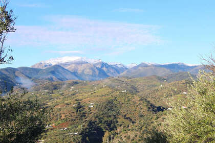Percelen/boerderijen verkoop in Tolox, Málaga. 