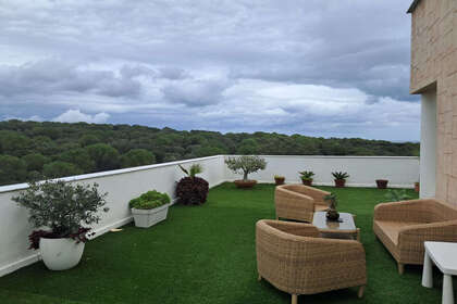 Penthouses verkoop in Alcaidesa, Línea de la Concepción (La), Cádiz. 