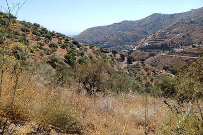 Percelen/boerderijen verkoop in Arenas, Málaga. 