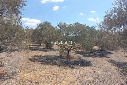 Percelen/boerderijen verkoop in Alora, Málaga. 