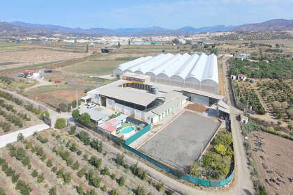Fincas verkoop in El Tomillar, Torre del mar, Málaga. 