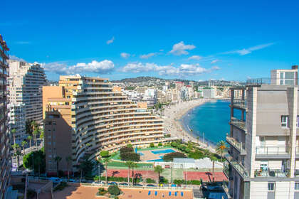 Appartementen verkoop in Calpe/Calp, Alicante. 