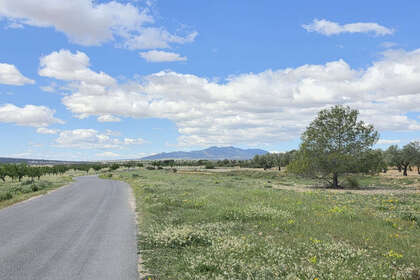 Grundstück/Finca zu verkaufen in Monóvar/Monòver, Alicante. 