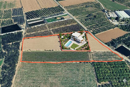 Grund til salg i Guardamar del Segura, Alicante. 