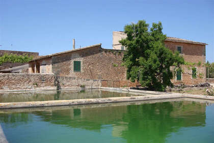 Fincaer til salg i Palma de Mallorca / Palma, Baleares (Illes Balears), Mallorca. 