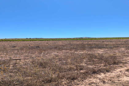 Percelen/boerderijen verkoop in Benitachell/Poble Nou de Benitatxell (el), Alicante. 