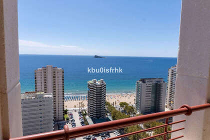 Plenthuse til salg i Benidorm, Alicante. 